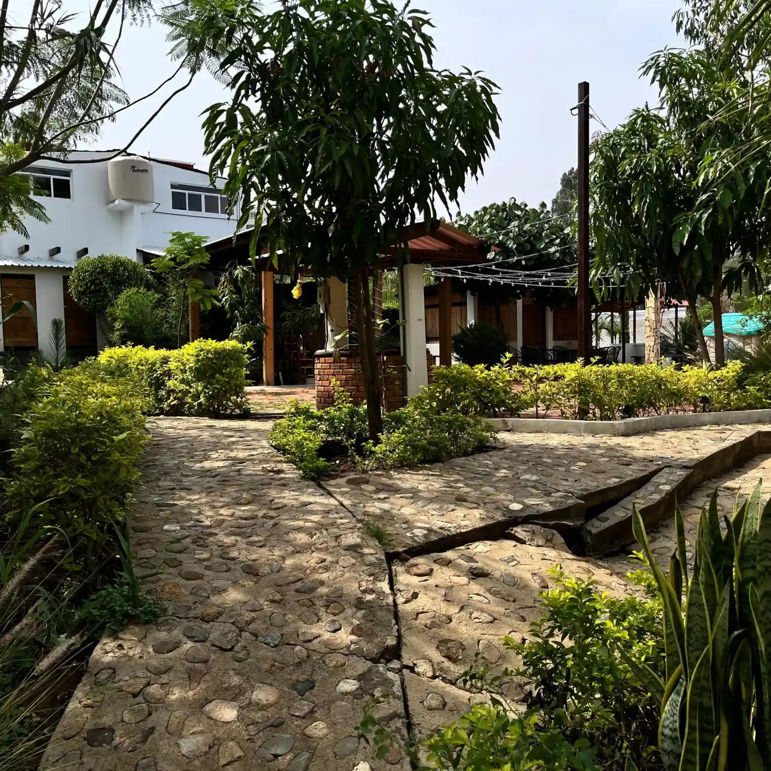 Área de tienda