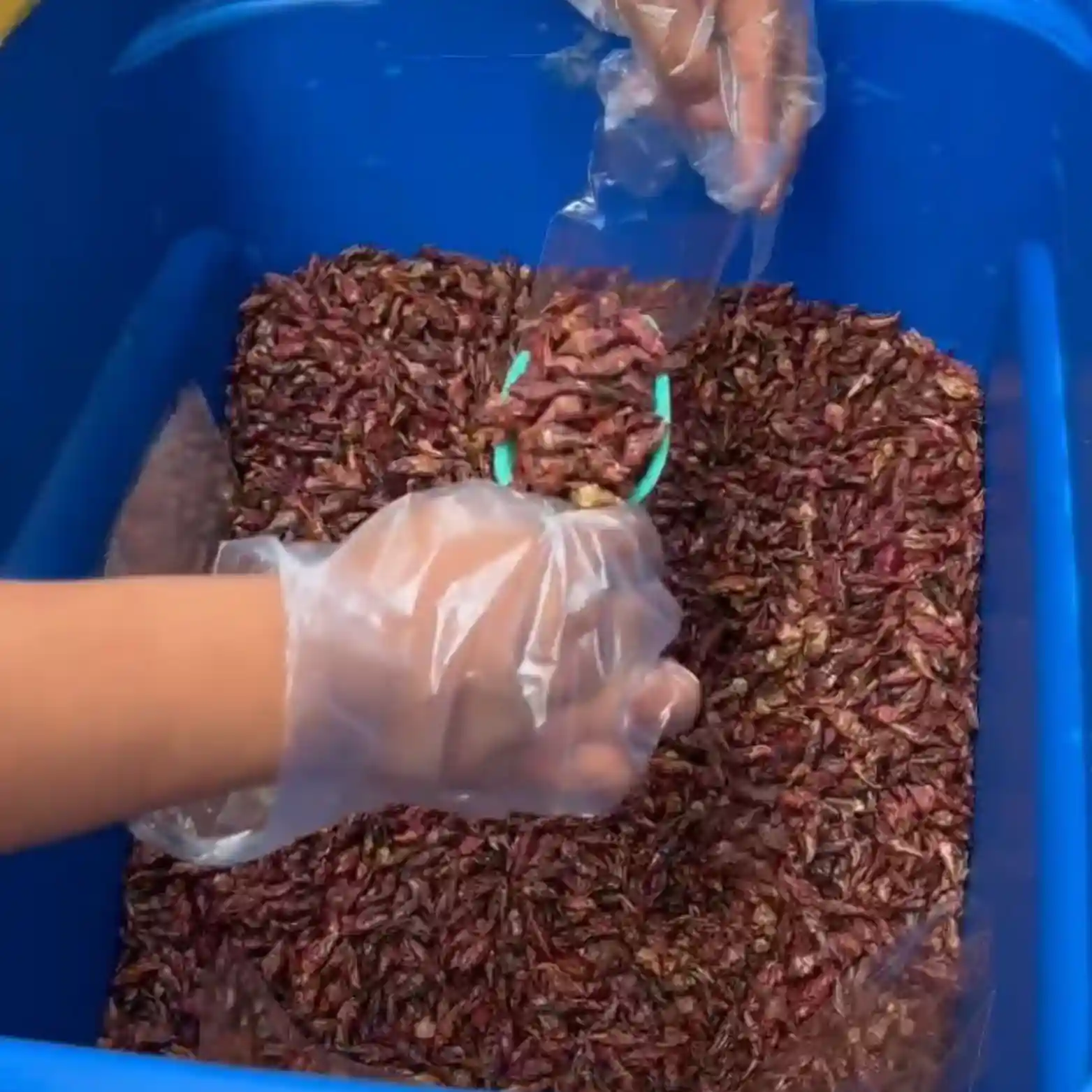 Área de producción