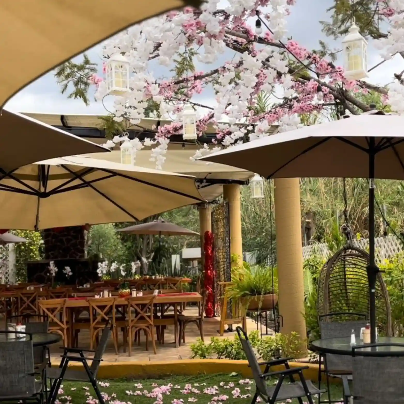 Área de restaurante